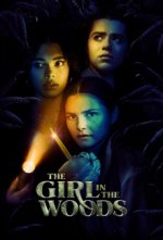 Cover The Girl in the Woods, Poster, Stream