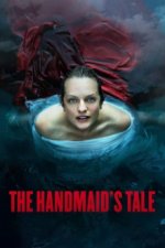 Cover The Handmaid’s Tale, Poster, Stream