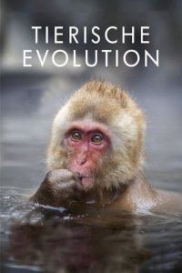 Cover Tierische Evolution mit David Attenborough, TV-Serie, Poster