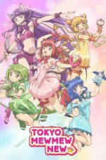 Cover Tokyo Mew Mew New, Poster, Stream