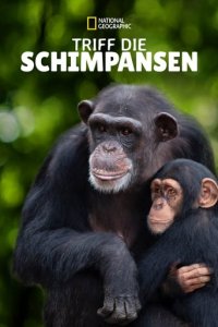 Cover Triff die Schimpansen, TV-Serie, Poster