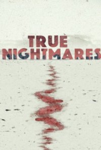 True Nightmares Cover, Poster, Blu-ray,  Bild