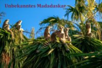 Unbekanntes Madagaskar Cover, Poster, Unbekanntes Madagaskar