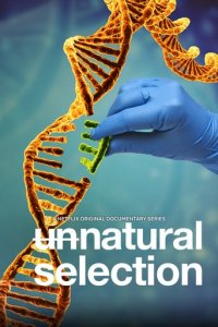 Unnatürliche Auswahl Cover, Poster, Blu-ray,  Bild