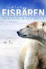 Cover Unter Eisbären - Überleben in der Arktis, Poster Unter Eisbären - Überleben in der Arktis