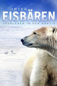 Cover Unter Eisbären - Überleben in der Arktis, Poster, HD