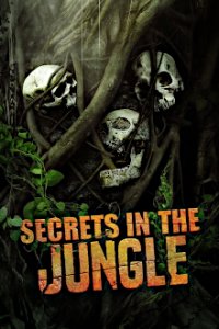 Cover Verborgen im Dschungel, Poster