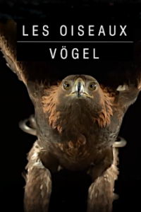 Vögel Cover, Poster, Blu-ray,  Bild