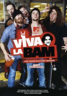 Viva la Bam Cover, Poster, Blu-ray,  Bild