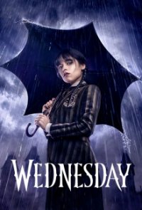 Wednesday Cover, Poster, Wednesday DVD