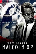 Cover Wer hat Malcolm X umgebracht?, Poster, Stream