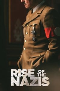 Wie kam Hitler an die Macht? Cover, Poster, Blu-ray,  Bild