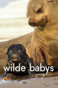 Wilde Babys Cover, Poster, Blu-ray,  Bild