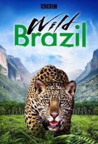 Wildes Brasilien Cover, Poster, Blu-ray,  Bild
