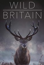 Cover Wildes Großbritannien (2018), Poster, Stream