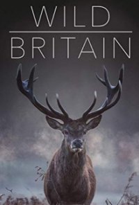 Wildes Großbritannien (2018) Cover, Online, Poster