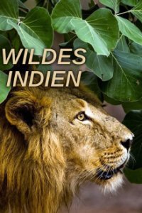 Wildes Indien Cover, Poster, Blu-ray,  Bild