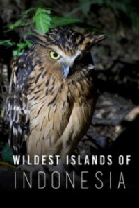 Wildes Indonesien Cover, Poster, Blu-ray,  Bild