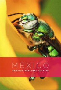 Wildes Mexiko Cover, Poster, Blu-ray,  Bild