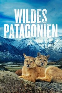 Wildes Patagonien Cover, Poster, Blu-ray,  Bild