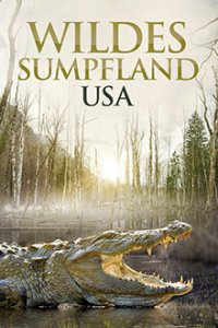 Cover Wildes Sumpfland, Poster, HD