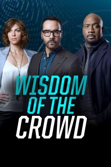 Wisdom of the Crowd, Cover, HD, Serien Stream, ganze Folge