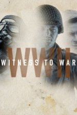 Cover WWII: Zeugen des Krieges, Poster, Stream