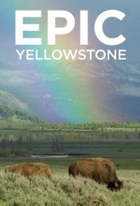 Cover Yellowstone – Park der Extreme, TV-Serie, Poster