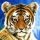 User Tiger3103, Profilbild, Avatar